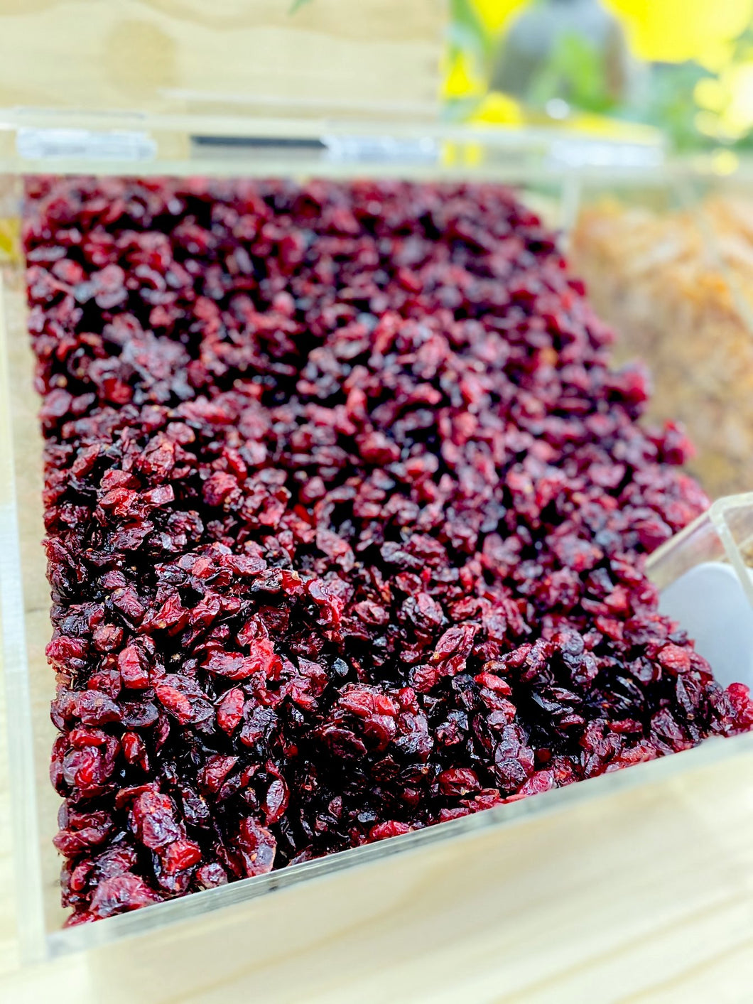 Cranberry Bulk/100g